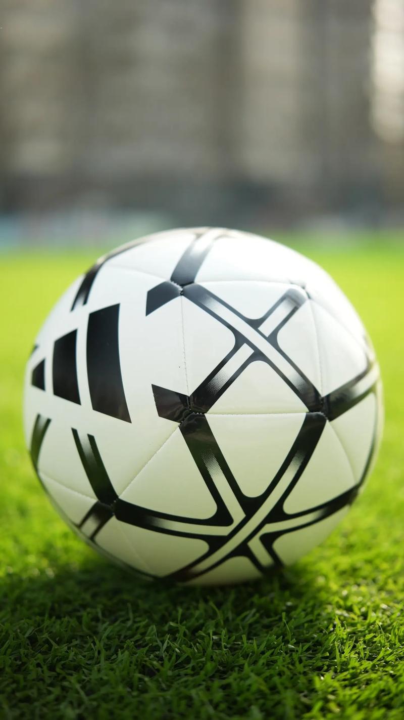 足彩胜平负分析技巧移动端应用界面